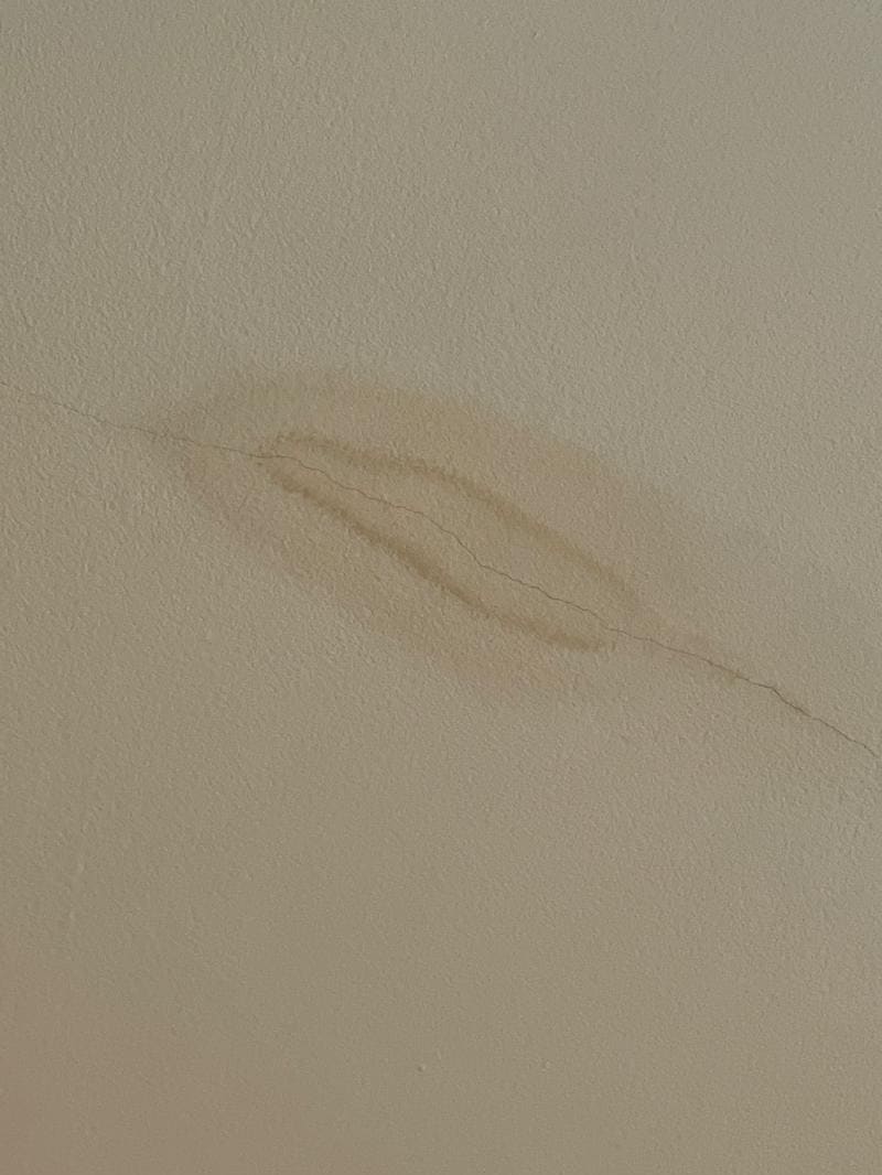 interior roof painting south london 6