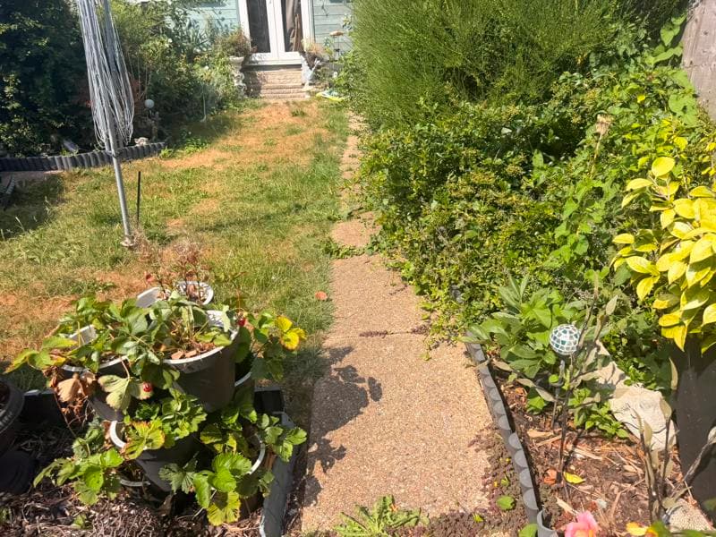indian sandstone path ashford 10